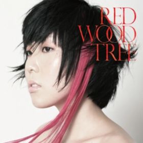 REDWOOD TREE / YOSHIKA