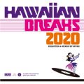 Ao - HAWAIIAN BREAKS 2020 [DJ MIX] / MURO
