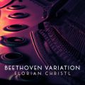 Florian Christl̋/VO - Beethoven Variation (After String Quartet No. 13, Op. 130: II)