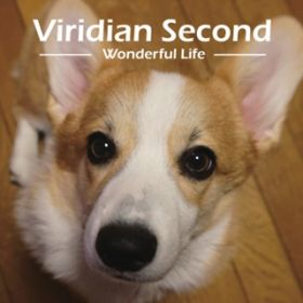 Ao - Viridian Second - Wonderful Life - / Viridian