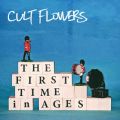 Ao - The First Time in Ages / CULT FLOWERS