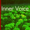 Inner Voice