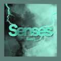 ROACH̋/VO - Senses