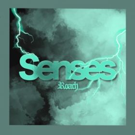 Senses / ROACH