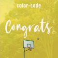 color-code̋/VO - Congrats!