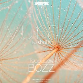 yurari (feat. shully) / Tsubusare BOZZ