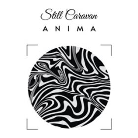 Anima / Still Caravan