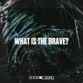 CODE OF ZERŐ/VO - WHAT IS THE BRAVE?