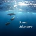 Sound adventure