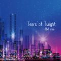 Ao - Tears of Twilight -8bit mix- / Ƃ vsD K Masera