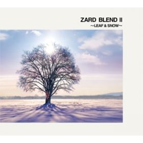 Take me to your dream / ZARD