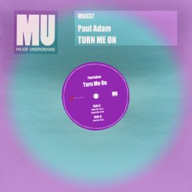 Turn Me On (Club Mix) / Paul Adam