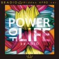 Ao - POWER OF LIFE (Instrumental) / BRADIO