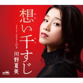 アルバム - 想い千すじ／ふるさと行き / 川野夏美