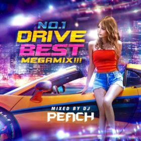 Boss Bitch (PARTY HITS REMIX) / PARTY HITS PROJECT