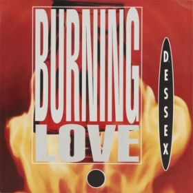 Ao - BURNING LOVE (Original ABEATC 12" master) / D-ESSEX