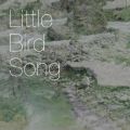 Little Bird Song