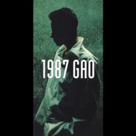 Ao - 1987 / GAO