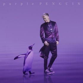 Ao - purple PENGUIN / đqI