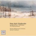 Ao - Tchaikovsky: SymD NoD6^Sleeping Beauty-Suite / Samuel Friedmann