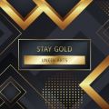 UNEEK ARTS̋/VO - STAY GOLD