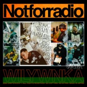 Ao - NOT FOR RADIO / WILYWNKA