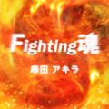 c AL̋/VO - Fighting