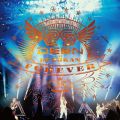 DEEN at BUDOKAN FOREVER 〜25th Anniversary〜 (Live)