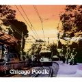Chicago Poodle̋/VO - C