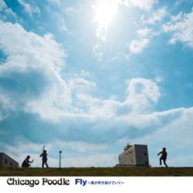 Ao - Fly `Ă` / Chicago Poodle