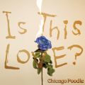 Chicago Poodle̋/VO - Is This LOVE?