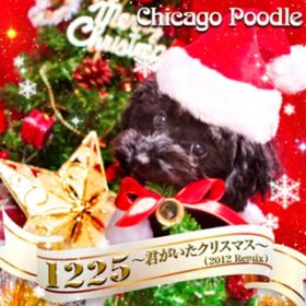 1225 `NNX}X`(2012 Remix) / Chicago Poodle