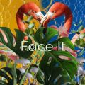 JADHŰ/VO - Face It
