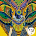 Ao - Bali SPA Organic Sound-Master 528 / ACOON HIBINO