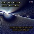 DAVE RODGERS̋/VO - STAY THE NIGHT(EXTENDED MIX)