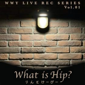 What Is HipH (Cover) / Ƃ[с[