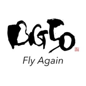 Fly Again / BIG50