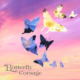 アルバム - Butterfly Corsage / nil-Glass