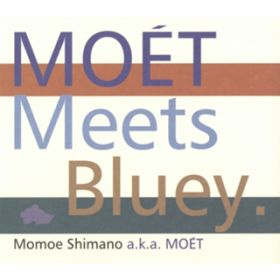 Hot Glamour Bluey's Blue Bossa Remix / Sb