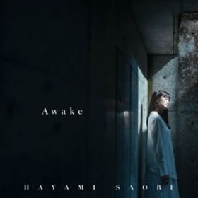 Awake(Instrumental) / D