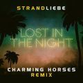 Charming Horses̋/VO - Lost In The Night (Remix)
