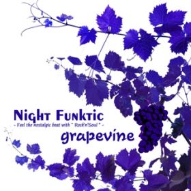 grapevine / NIGHT FUNKtic