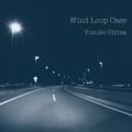 T̋/VO - Wind Loop Case