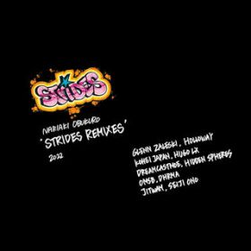 Strides - Seiji Ono Remix / ܐj