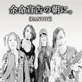 Catch The Money / CANTOY