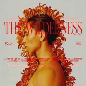 The Wilderness / PoLin Tung