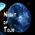 Night of Tour
