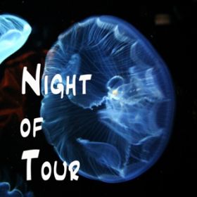 Ao - Night of Tour / Nijiya