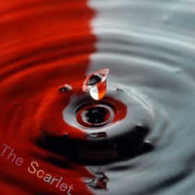 The Scarlet / Nuts
