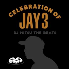 Afterimage / DJ Mitsu the Beats